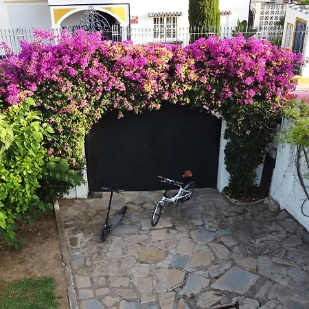 La Buganvilla